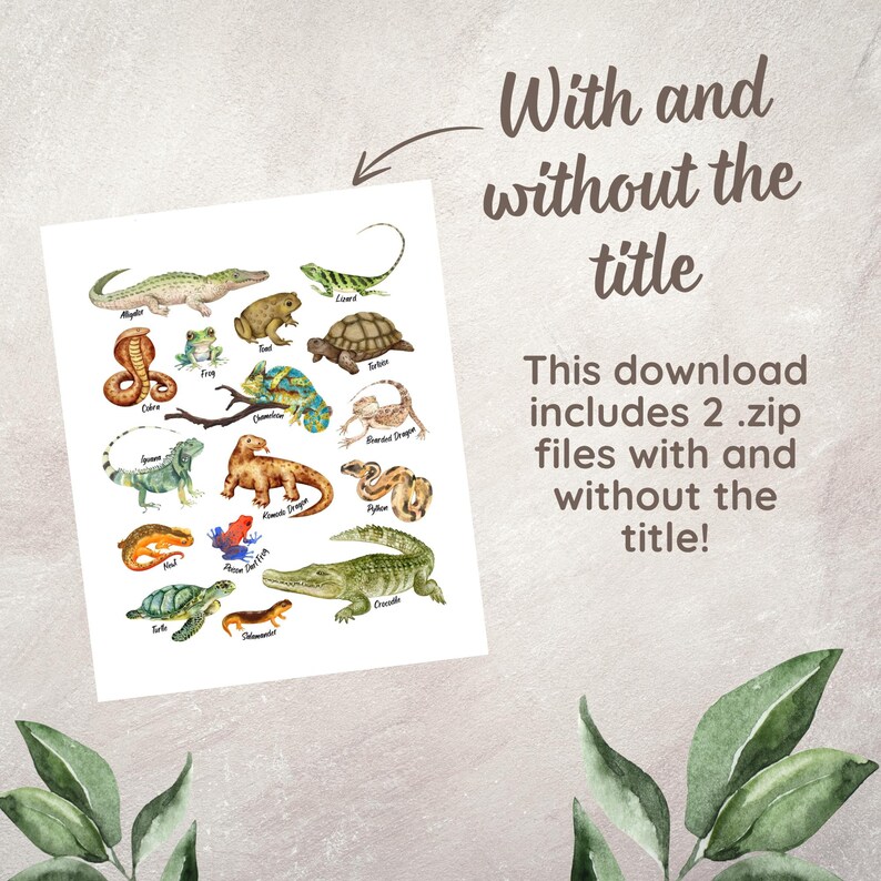 Reptiles Amphibians Educational Poster Exotic Animal Chart Classroom Decor Montessori Toddler ...