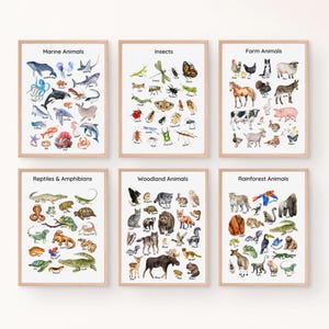 Set of 6 Animals Educational Posters Insects Farm Rainforest Woodland wild nature classroom decor kids playroom wall art learning printable