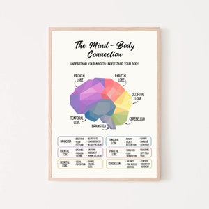 Geest Lichaam Verbinding Hersenen Anatomie Print Therapie Kantoorinrichting Menselijk brein Onderdelen Psychologie Kliniek Psycholoog Therapeut Counselor Gereedschap