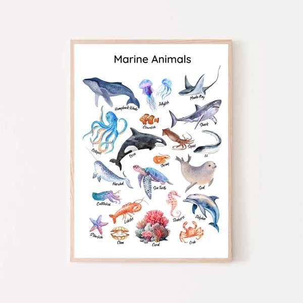 Marine Animals Educational Poster, Montessori homeschool print, ocean animals watercolor, kids playroom wall art, learning poster toddler