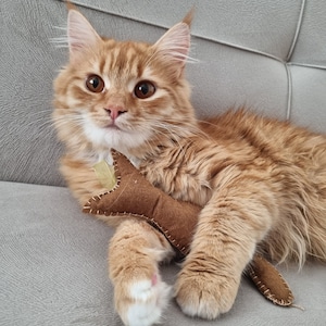Handgemachtes Katzenspielzeug (3X) - Kleine Katzenform, organisch und langlebig, perfekt für verspielte Kätzchen und Katzenliebhaber