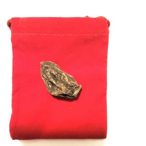 High John The Conqueror Root