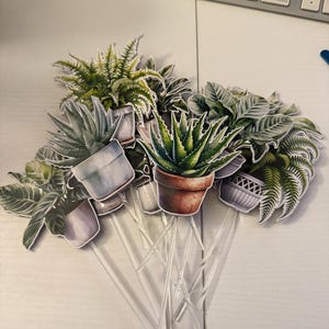 Puede incluir: Una colección de adornos para tartas con temática de plantas. Los adornos presentan varias plantas en macetas, incluyendo helechos y suculentas, con hojas verdes y blancas. Las plantas están unidas a palitos de plástico transparente.