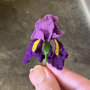 Può includere: Un fiore di iris viola fatto a mano all'uncinetto, con accenti gialli sui petali e uno stelo verde. Il fiore è tenuto da una mano, mostrando gli intricati dettagli dell'artigianato. I petali del fiore sono strutturati.