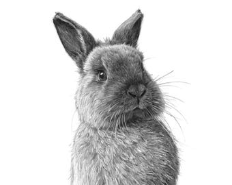Custom Pencil Sketch Bunny Rabbit Portrait From Photo | Digital Download or Poster Print Canvas | Drawing Gift for Bunny Owner
