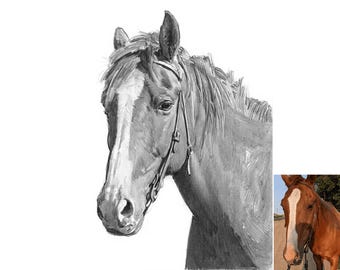 Custom Horse Pencil Sketch Portrait: Digital Art, Poster, or Canvas