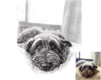Custom Pencil Sketch Dog Portrait: Digital Art, Poster or Canvas
