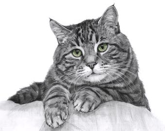Custom Pencil Sketch Cat Portrait: Drawing from Photo (Digital, Canvas or Poster Print)