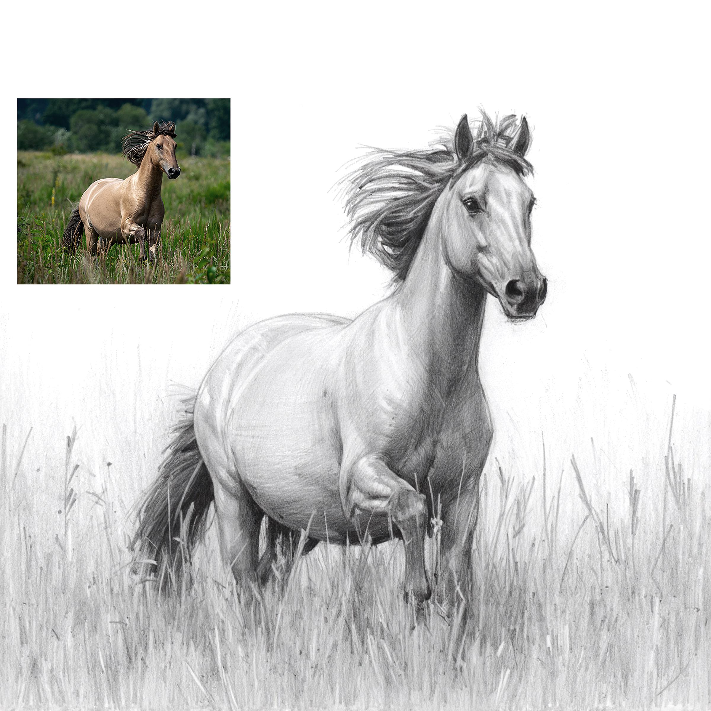 Custom Horse Pencil Sketch Portrait: Digital Art, Poster, or Canvas - Etsy