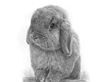 Custom Pencil Sketch Bunny Rabbit Portrait From Photo | Digital Download or Poster Print Canvas | Drawing Gift for Bunny Owner Lover