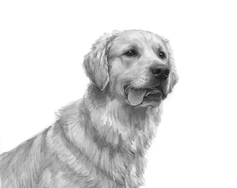Custom Pencil Sketch Dog Portrait: Digital Art, Poster or Canvas