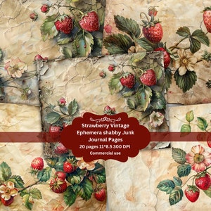 Kit per diario di fragole, diario vintage con effimeri, carta digitale per scrapbooking, frutta, pagine stampabili, shabby, download istantaneo