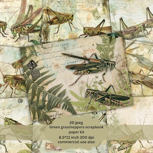 Vintage grasshopper Junk Journal Pages, Digital Scrapbook Paper Kit, Botanical Printable, Collage Sheet, Entomology Download, Ephemera