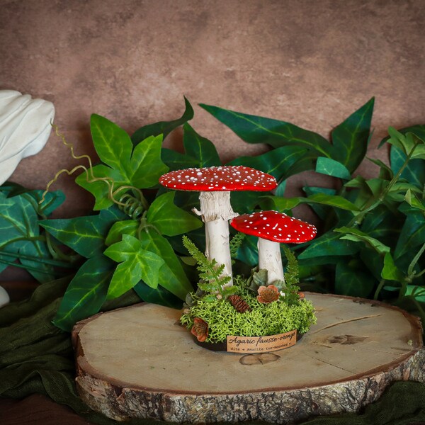 Duo d'amanites tue-mouches pour cabinet de curiosités decoration sorcière funghi fungi champignon mushroom céramique faïence moody cottage