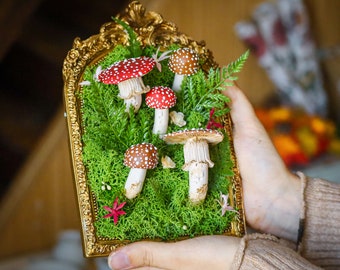 Cadre ancien orné de Champignons amanites pour cabinet de curiosités decoration sorcière funghi fungi champignon mushroom
