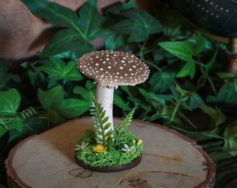Amanite panthère pour cabinet de curiosités decoration sorcière funghi fungi champignon mushroom céramique faïence moody cottage