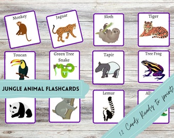 Flashcards - Jungle Animal Flash Cards