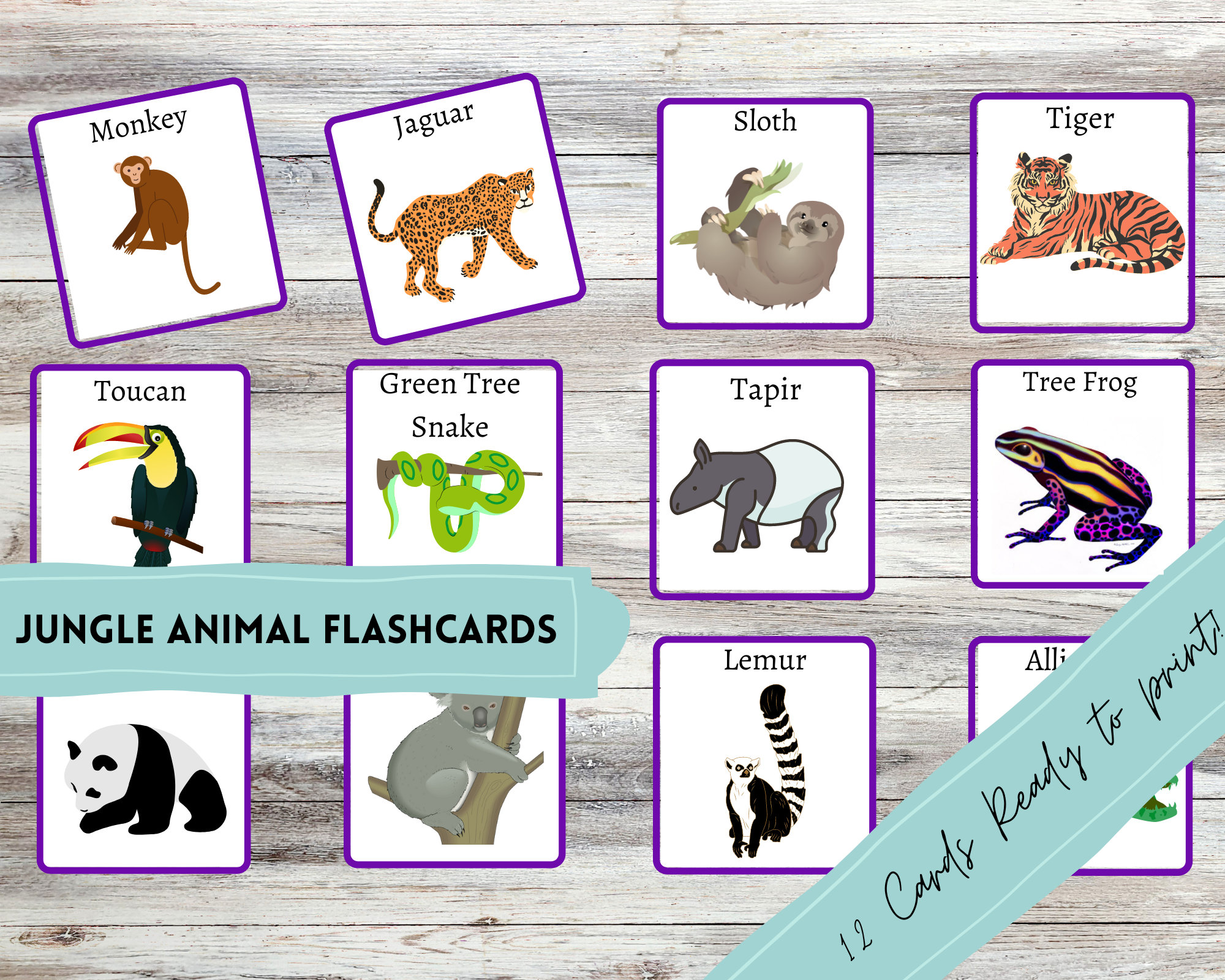Flashcards Jungle Animal Flash Cards Etsy
