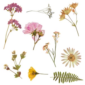 Set aus 9 floralen Tattoos | Blumen Tattoo Blatt | Natur Illustration | Tattoo für Frauen | Gastgeschenk