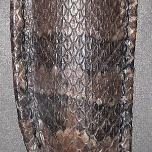 Timber Rattlesnake Skin Covered Leather Knife Sheath - Etsy