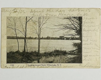 Cartolina RPPC White Lake New York Timbro postale vintage del 1906 Vista da nord