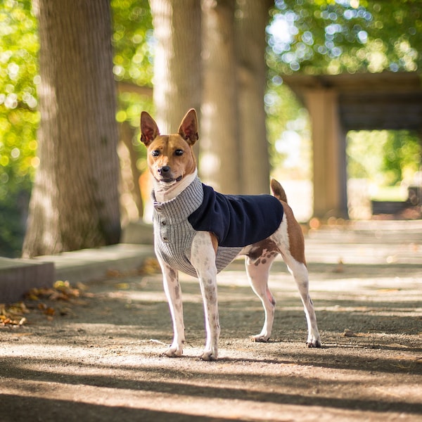 Merino Wool Dog Coat