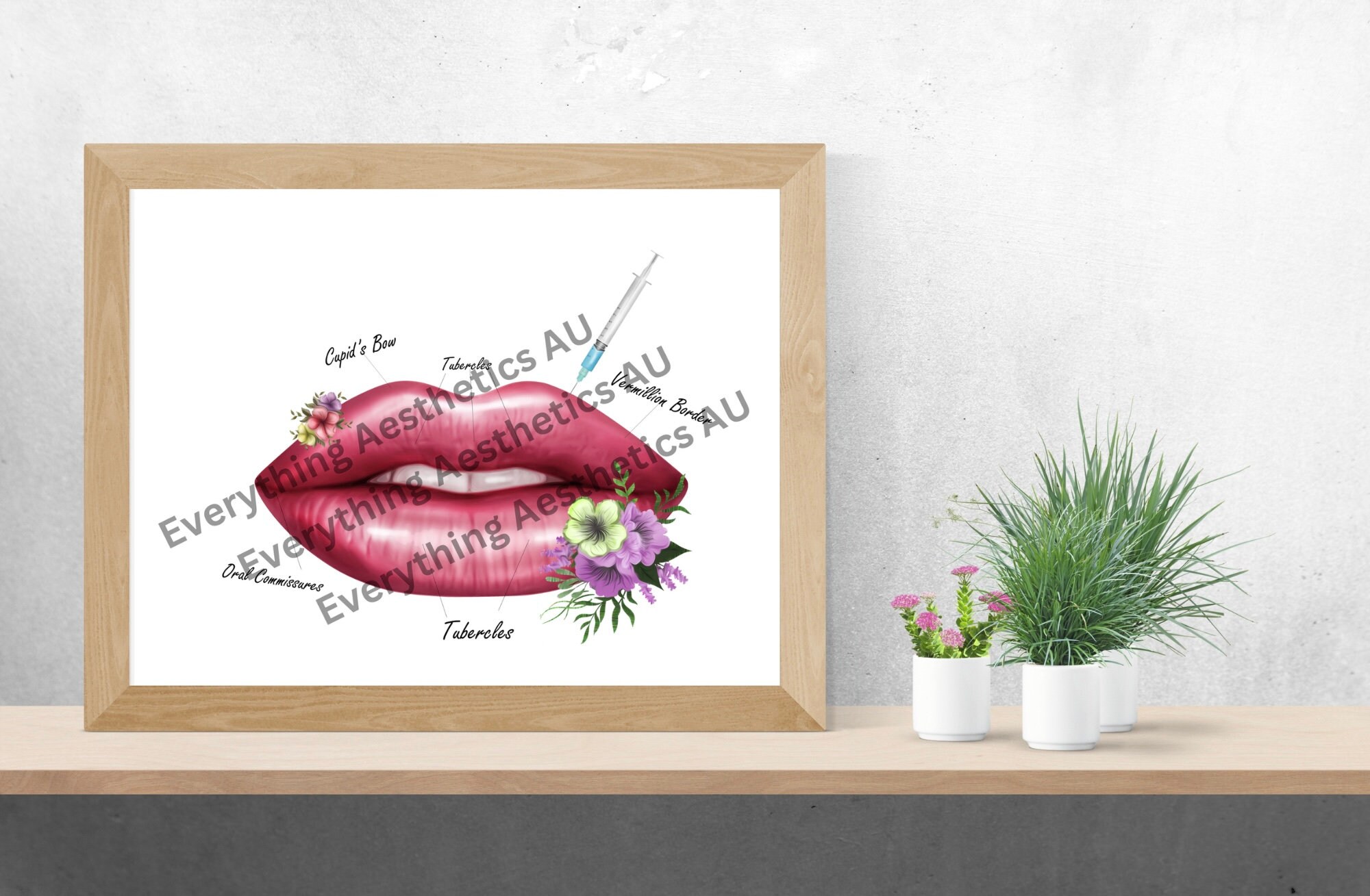 Lip Anatomy Art Etsy
