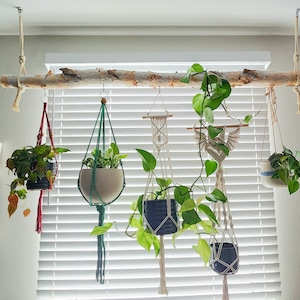 May include: A rustic wooden beam suspended from the ceiling, holding several hanging planters. The planters, in various colors and macrame designs, contain lush green plants. The scene is set against a window with white blinds, creating a natural, indoor decor theme.