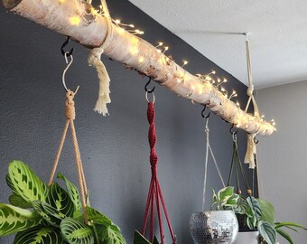 Natural Birch Plant Hanger