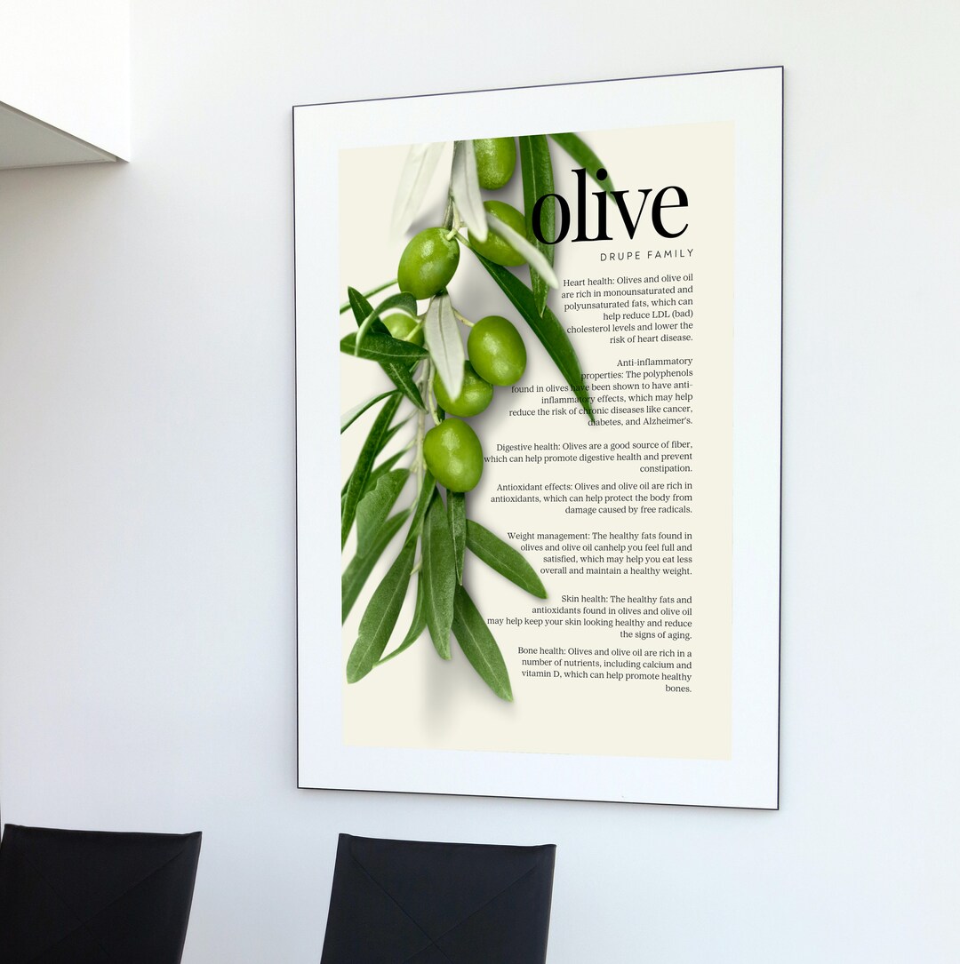 Vintage Botanical Olive Branch Print Olive Informative - Etsy