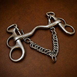 May include: A silver-colored horse bit with a chain, featuring a curved mouthpiece and ring-shaped side pieces. The bit is marked with the text "AESHL FORCE" and is set against a brown background.