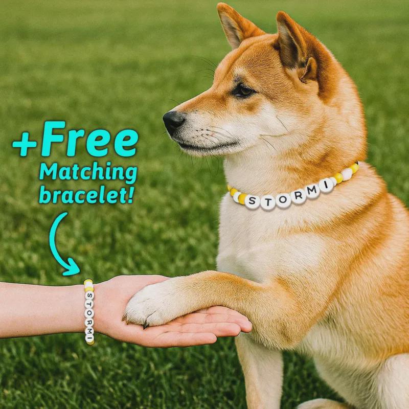 Matching Bracelet Friendship Collar Friendship Matching Cat Collar