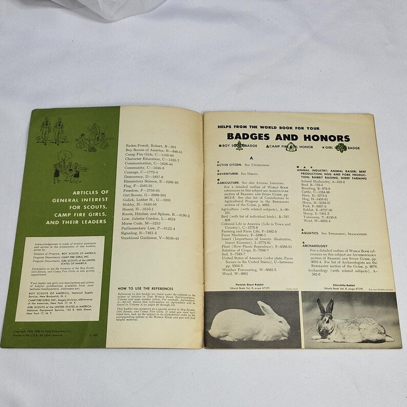 Guía de insignias y honores del Libro Mundial para Boy Scouts, Girl Scouts y Camp Fire Girls 1954 imagen 2