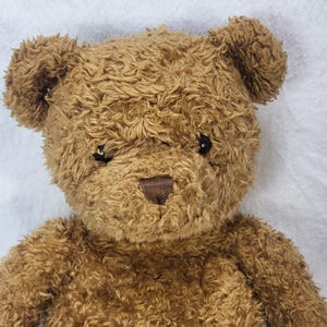 Teddy Bear 2000 - Etsy