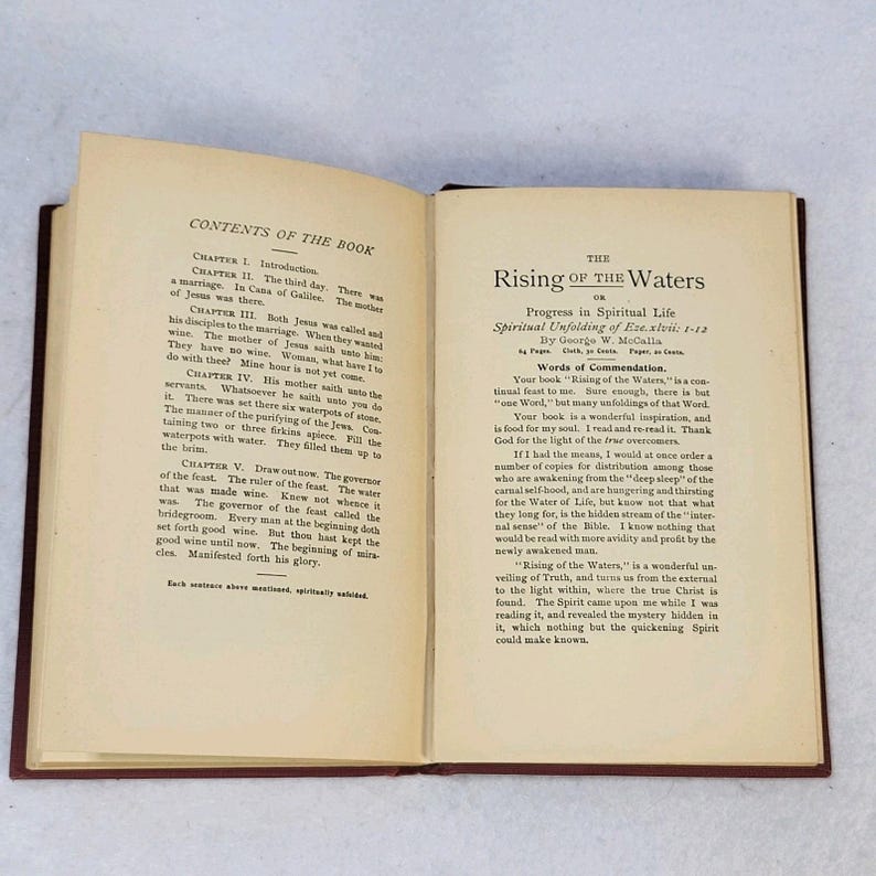 1905 Der Weg zum Sabbat der Ruhe Thomas Bromley HK Religiöses Buch Bild 6