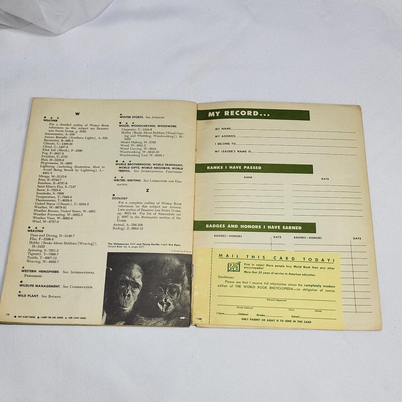 Guía de insignias y honores del Libro Mundial para Boy Scouts, Girl Scouts y Camp Fire Girls 1954 imagen 7