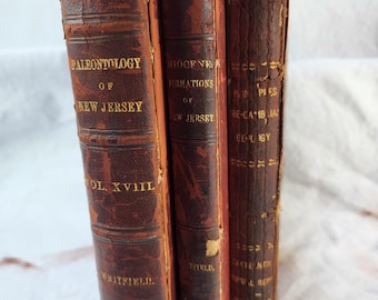 Antique US Geological Survey Books 1890s New Jersey Paleontology Lot 3 - READ