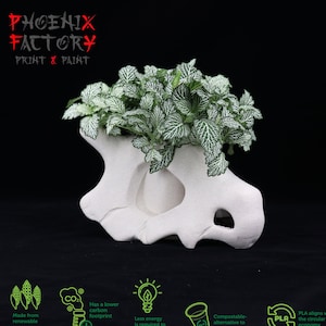 Planter Big Size Pokemon Cubone Osselait kraken Poke-Planter / Cubone Skull / vaas / Planter / Planter / Cubone Pokemon / Planter