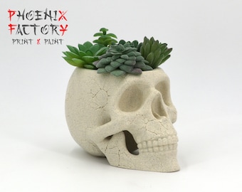 Skull Planter / Skull Demon / skull pot vase planter / Gothic Skull / skull
