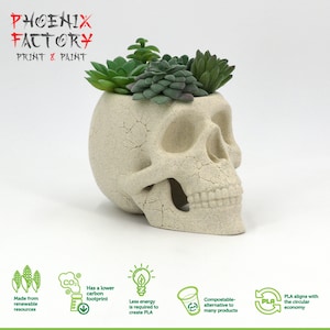Peut inclure: Un pot de fleurs en forme de crâne blanc en plastique PLA, un matériau biodégradable. Le pot est rempli de succulentes vertes. Le texte "PHOENIX FACTORY PRINT & PAINT" est en haut de l'image. L'image comprend également des icônes qui mettent en évidence les avantages du plastique PLA, comme le fait d'être fabriqué à partir de ressources renouvelables, d'avoir une empreinte carbone plus faible et d'être compostable.
