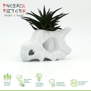 Växt Pokémon Cubone knäckande Poke-Planter Cubone / Cubone Kruka / Cubone Skull / vas / Planter / Planter / Cubone Pokémon / Cubone