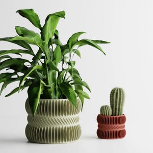 Op de afbeelding: Twee decoratieve plantenpotten, één groot en één klein, elk met een uniek geribbeld ontwerp. De grotere pot is lichtgroen van kleur en bevat een groene plant met bladeren. De kleinere pot is roodbruin van kleur en bevat een cactus.