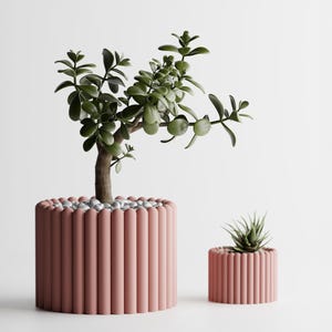 Peut inclure: Deux pots roses et côtelés, un grand et un petit, contiennent des plantes vertes. Le grand pot contient un petit arbre aux feuilles vertes et de petits cailloux blancs à la base. Le petit pot contient une plante succulente.