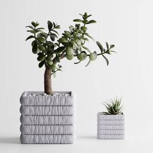 Peut inclure: Deux jardinières carrées gris clair avec un design ruché texturé. La plus grande contient une plante de jade avec des feuilles vert foncé et un tronc brun. La plus petite contient une plante succulente.
