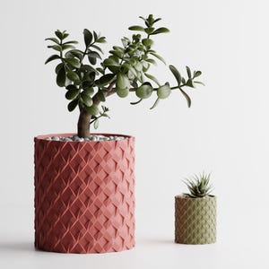 May include: Two decorative plant pots, one large and one small, with a geometric pattern. The larger pot is reddish-orange and holds a jade plant. The smaller pot is green and contains a small succulent. Both pots are cylindrical in shape.
