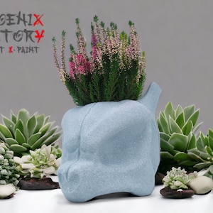 May include: A light blue ceramic planter shaped like a skull with a small plant growing out of the top. The planter is sitting on a white surface with other plants and rocks around it. The text "PHOENIX FACTORY PRINT & PAINT" is visible in the top left corner of the image.