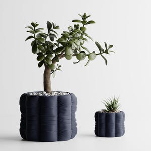 Peut inclure: Deux pots de fleurs bleu marine texturés, un grand et un petit, contenant chacun une plante verte. Le grand pot contient un petit arbre aux feuilles arrondies, et le petit une plante succulente.