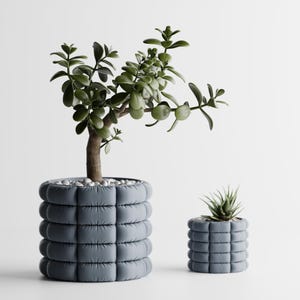 Peut inclure: Deux plantes en pot. Une grande plante de jade avec un tronc épais et des feuilles vertes est dans un pot bleu matelassé rempli de pierres blanches. Une petite plante succulente est dans un pot assorti.