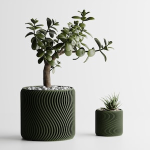 May include: Two green, cylindrical planters with a wavy design. The larger planter holds a small tree with green leaves and small white stones. The smaller planter contains a succulent plant. Both planters are on a white background.