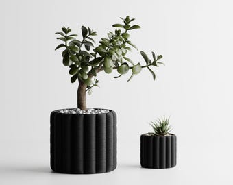 Inflated Soft Cloth – Model 5 - Planter - Planter - Indoor Plant - Cactus - Cactus